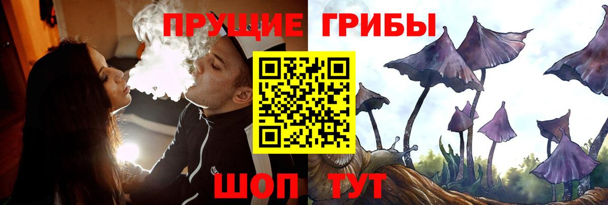 Коломна  Псилоцибиновые грибы Psilocybe  Вход с VPN  купить наркоту  Галлюциногенные грибы GOLDEN TEACHER 